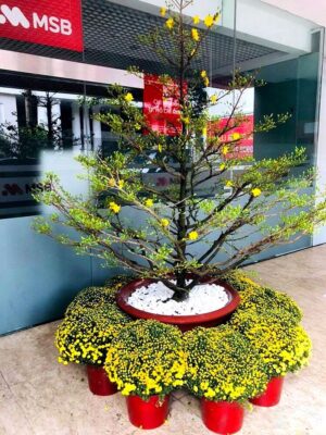 26P12568 – Tổng thể 02/10/2026