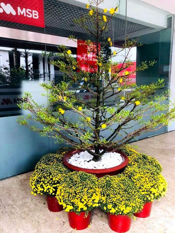 26P12568 – Tổng thể