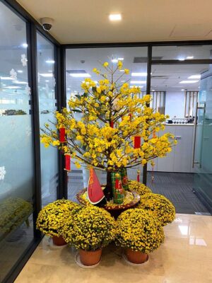 26P11168 – Tổng thể 03/10/2026